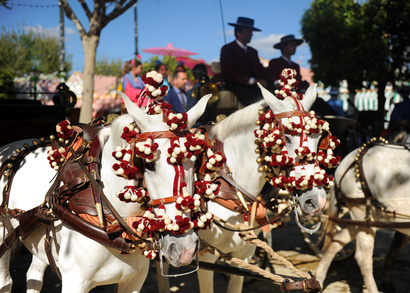 Andalusien Pferdemarkt