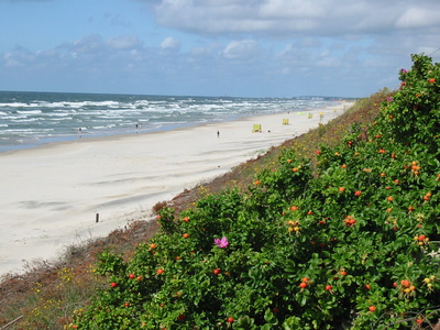 Kuhrische Nehrung Strand Kuhrische Nehrung Strand