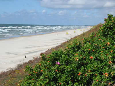 Kuhrische Nehrung Strand