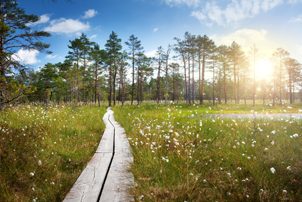 Lahemaa Nationalpark