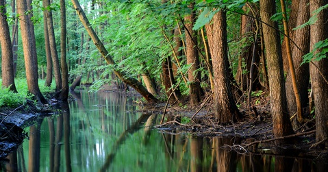 Estlant Nationalpark