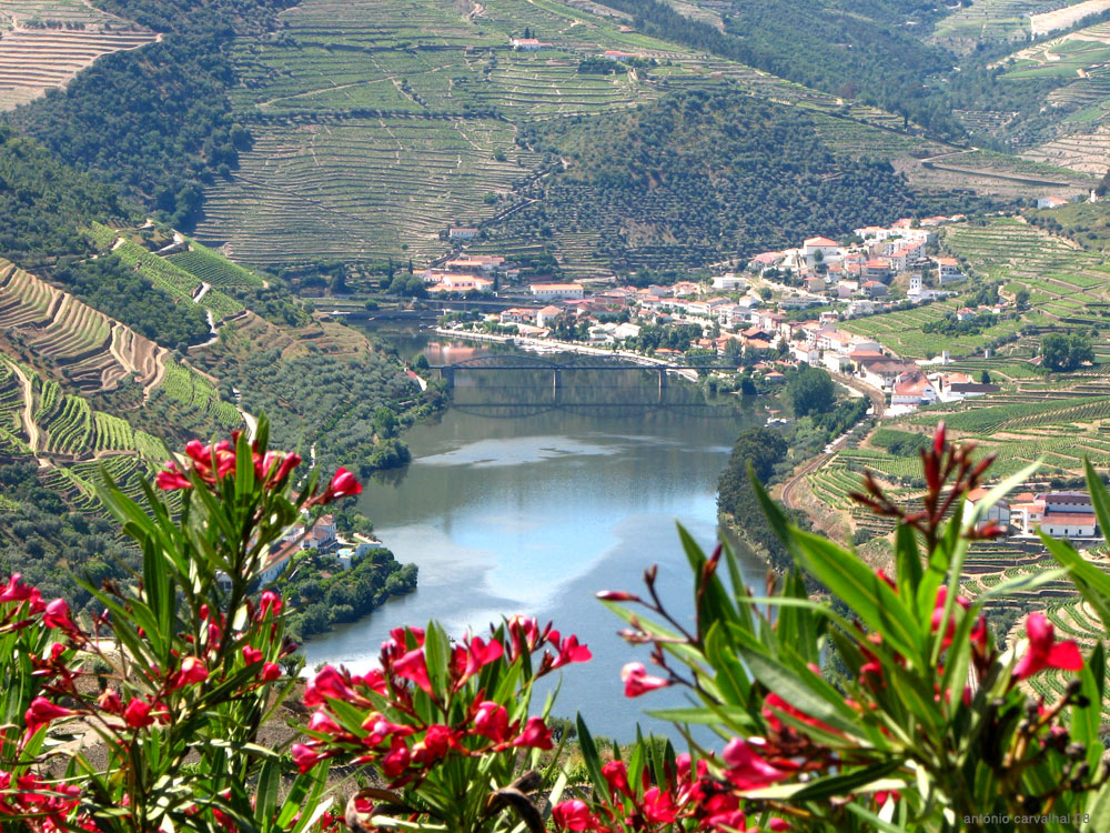 Douro Douro