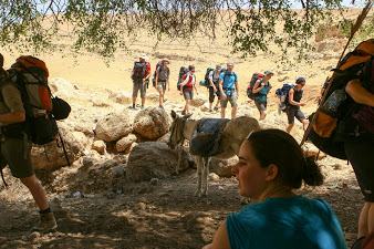 Wandern in Israel und Palästina