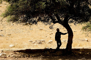 Wandern in Israel und Palästina