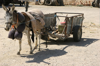 Wandern in Israel und Palästina