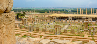 Persepolis Ausgrabung