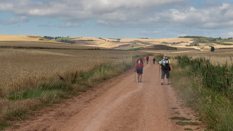 Wandern auf dem Jakobsweg