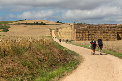 Wandern auf dem Jakobsweg