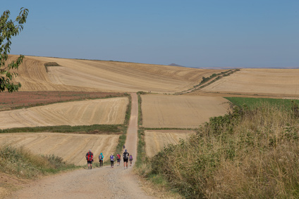 Wandern auf dem Jakobsweg