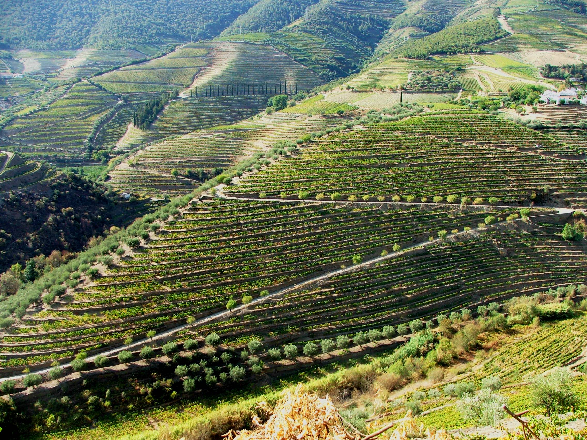 Douro Douro