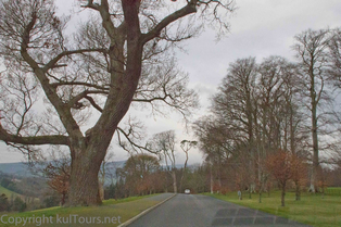 Grünes Irland Grünes Irland