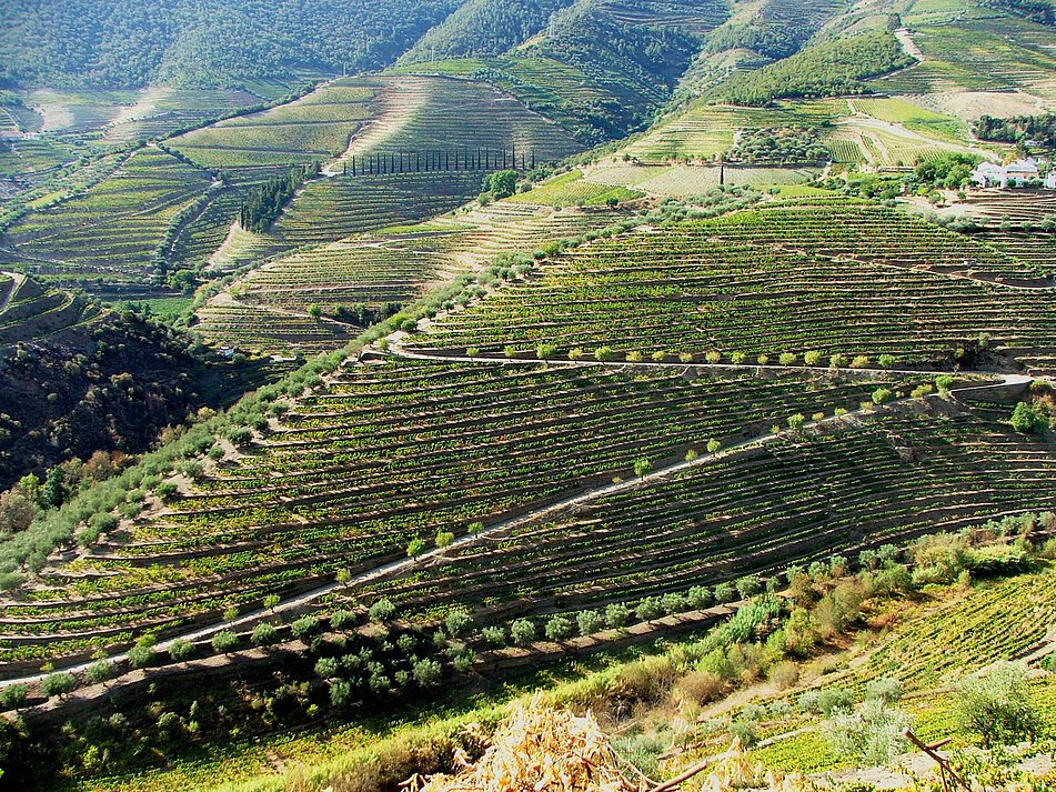 Douro