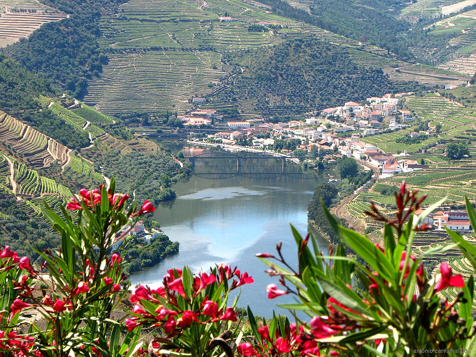 Douro